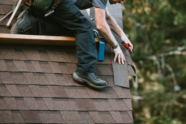 Best Roof Gutter Cleaning  in Winterville, NC
